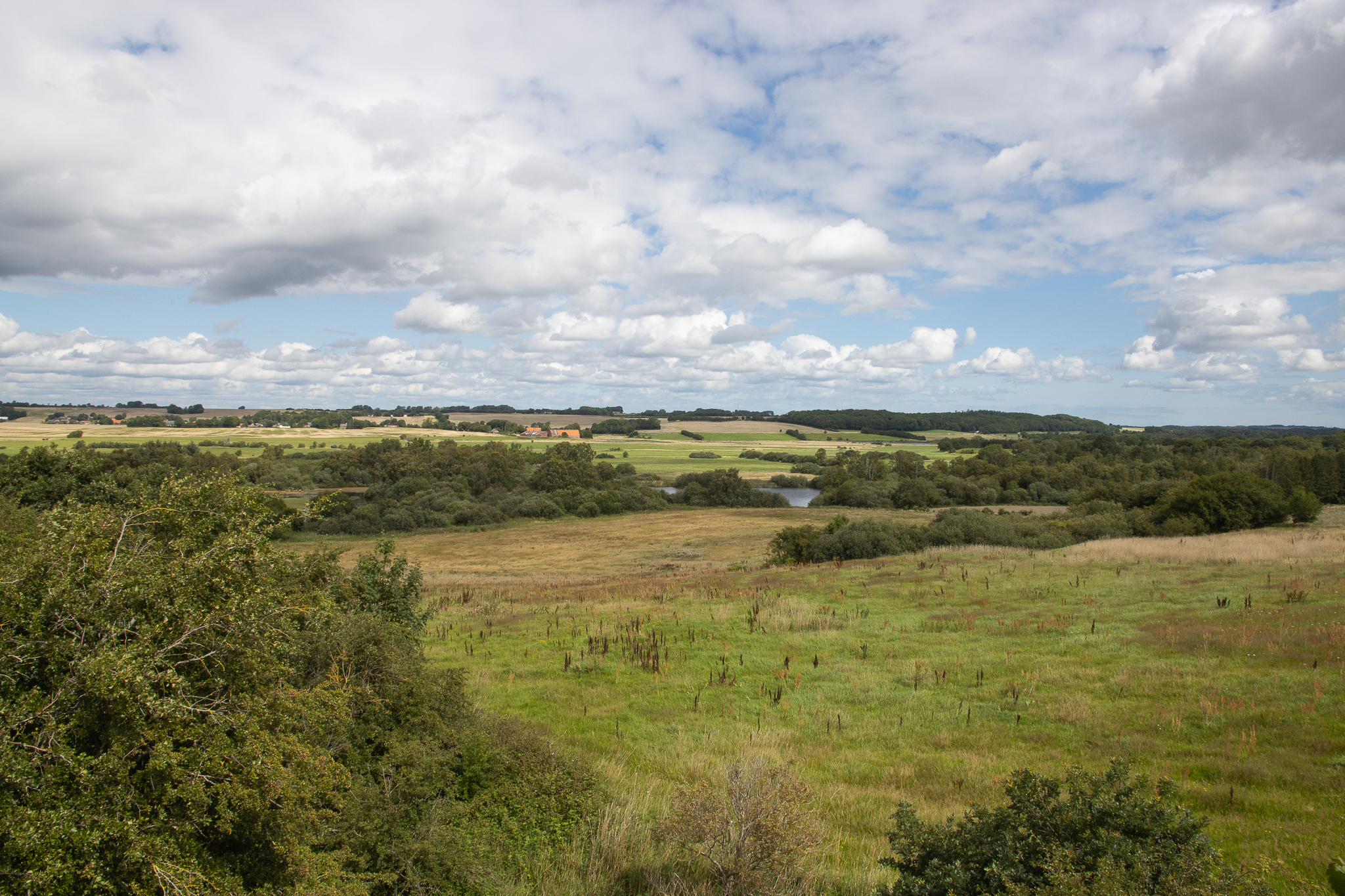 naturen 01
