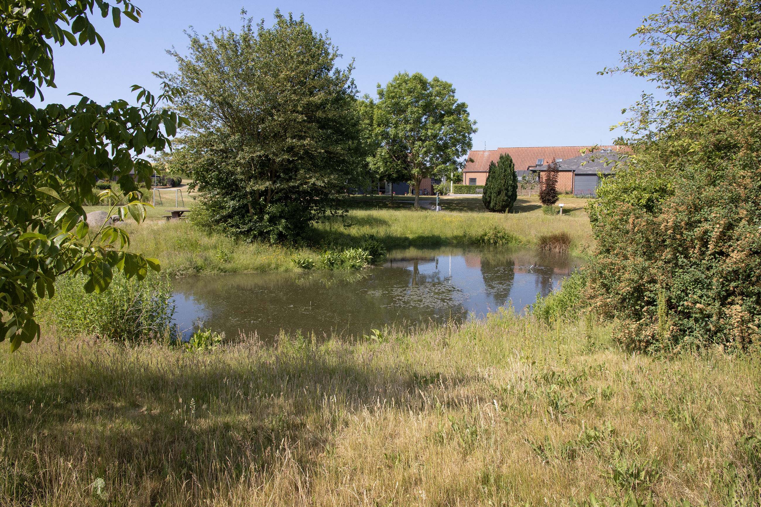 hjertesoe